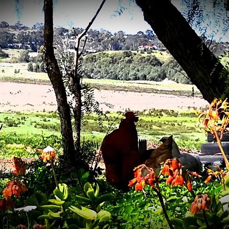 A La Folly Too The Old Workshop Bed & Breakfast Murray Bridge Ngoại thất bức ảnh