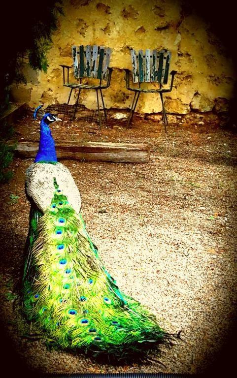 A La Folly Too The Old Workshop Bed & Breakfast Murray Bridge Ngoại thất bức ảnh